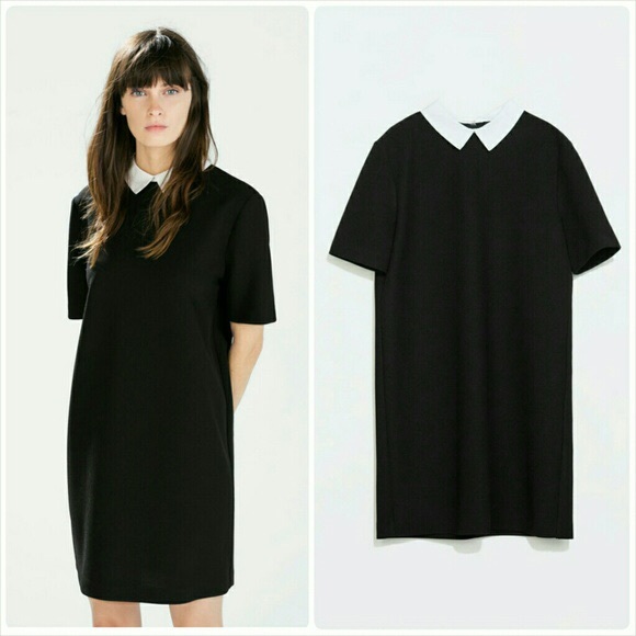 Zara dress with collar Clearance